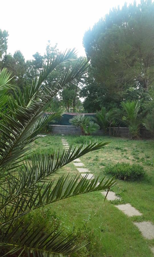 A57 Bed & Breakfast Casal Palocco Dış mekan fotoğraf