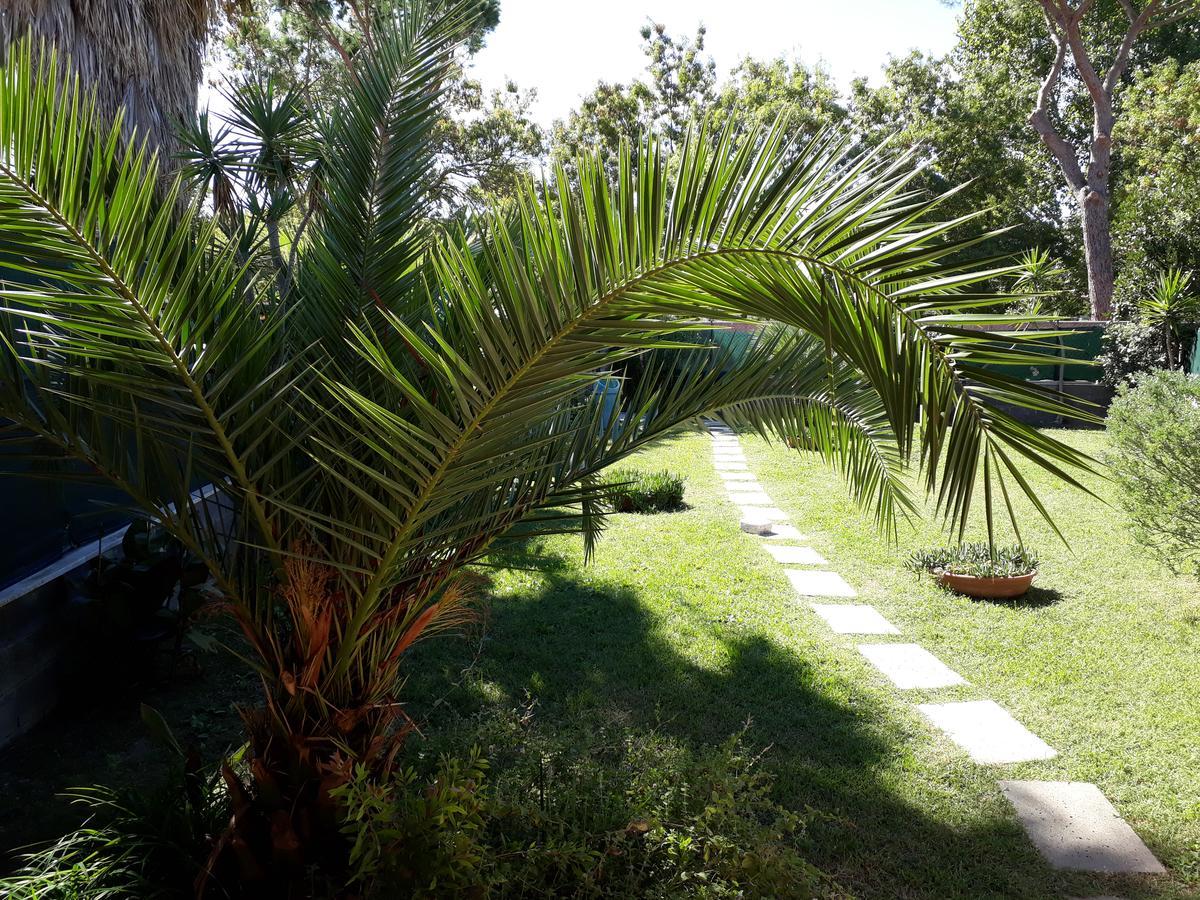 A57 Bed & Breakfast Casal Palocco Dış mekan fotoğraf